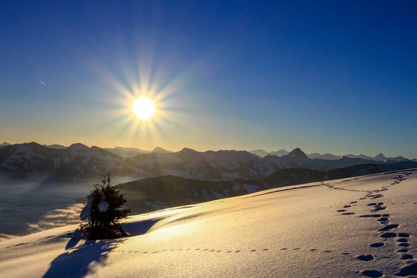 Alpine Qualitytime - foto 85