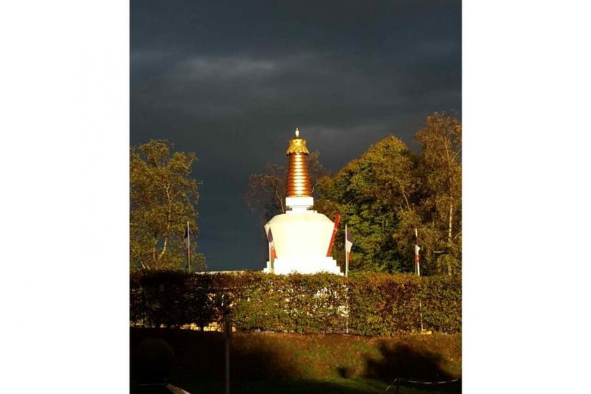 298305 - foto 29