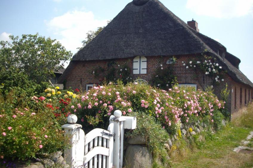 Apartment im Friesenhaus Dikhü