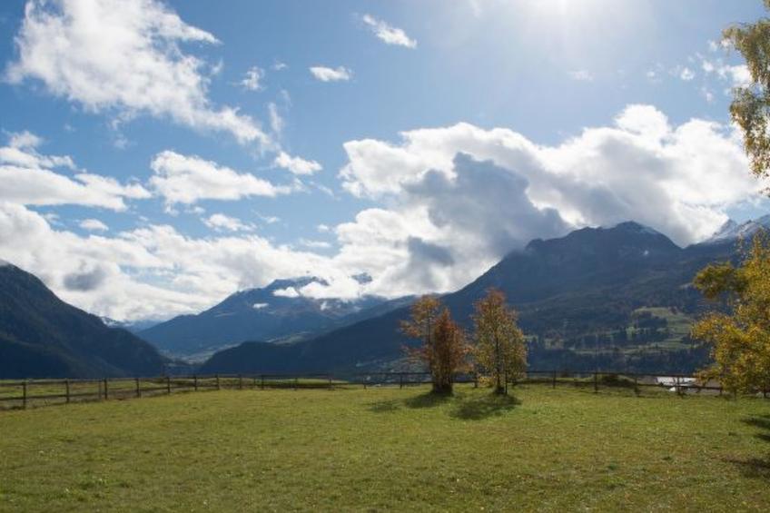mit Garten Tgeasa Schilendra-Lantsch/Lenz - foto 20