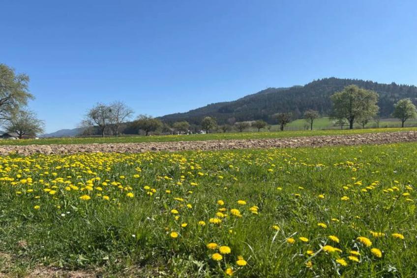 Panoramablick - foto 40