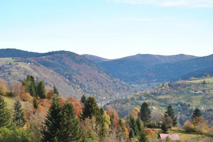 Le Chamois - foto 34