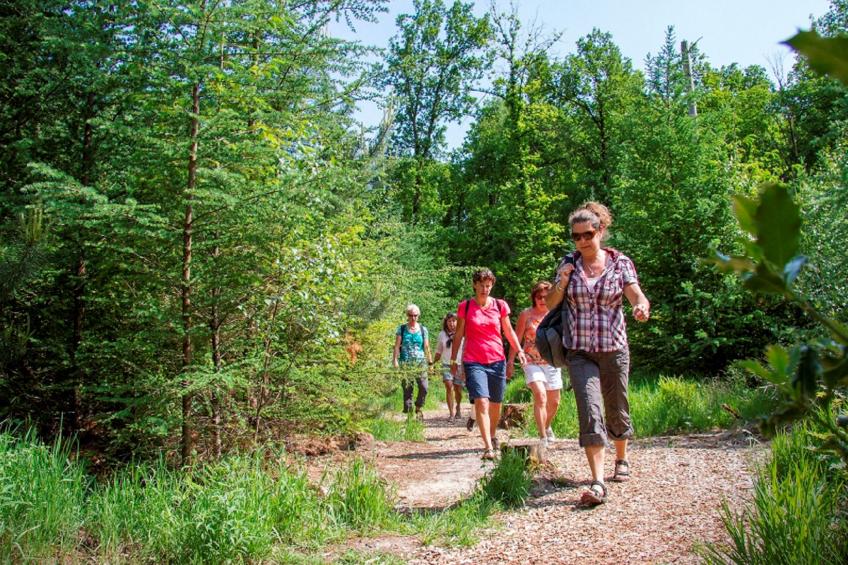 De Regenboog - foto 14