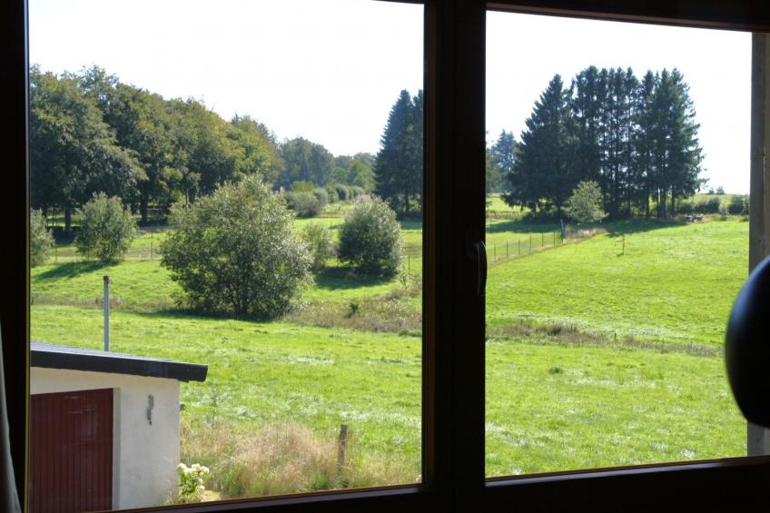 am Hohen Venn - foto 4