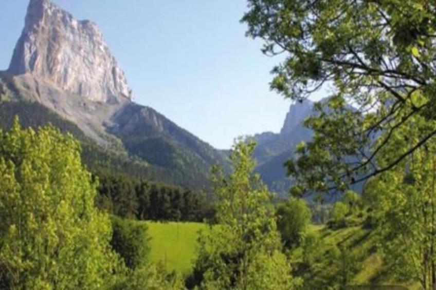 Les Gentianes - foto 32