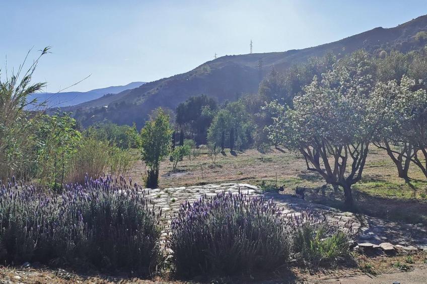 Gemütliches Haus mit Schwimmbad in La Alpujarra - foto 25
