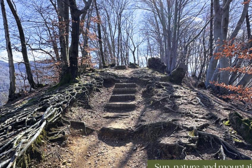 appartamento vacanze "Luxus-Wohnung" - foto 28