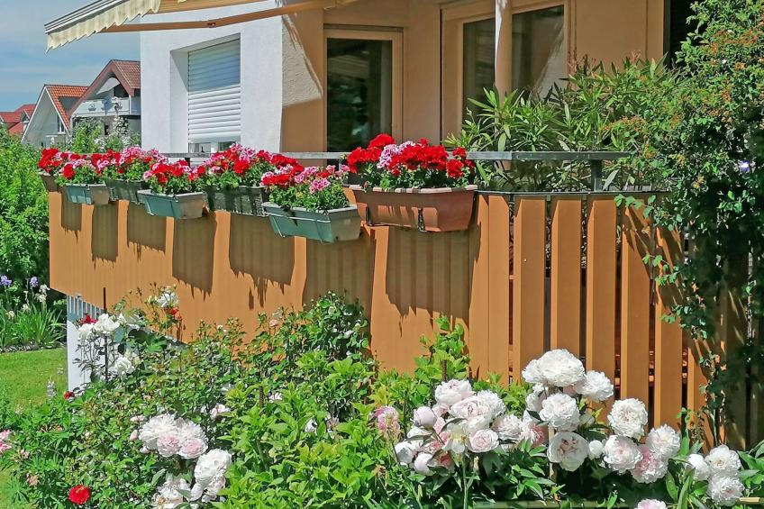 Ferien-Apartment - foto 22