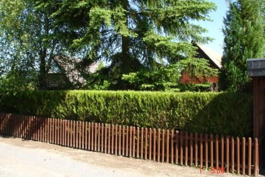 Eifelhäuschen - foto 14