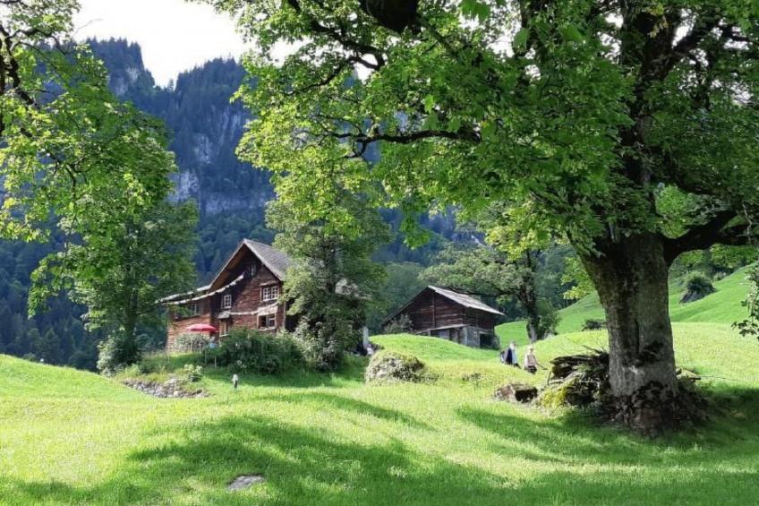 Rietberg 8 Braunwald - foto 8