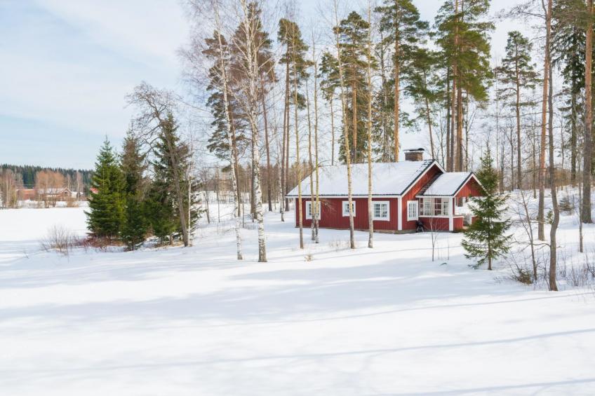 Sepelkyyhky, seeteri - foto 39