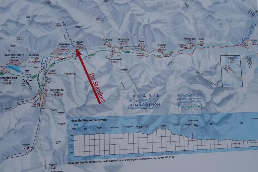 Chesa Arettas - foto 22