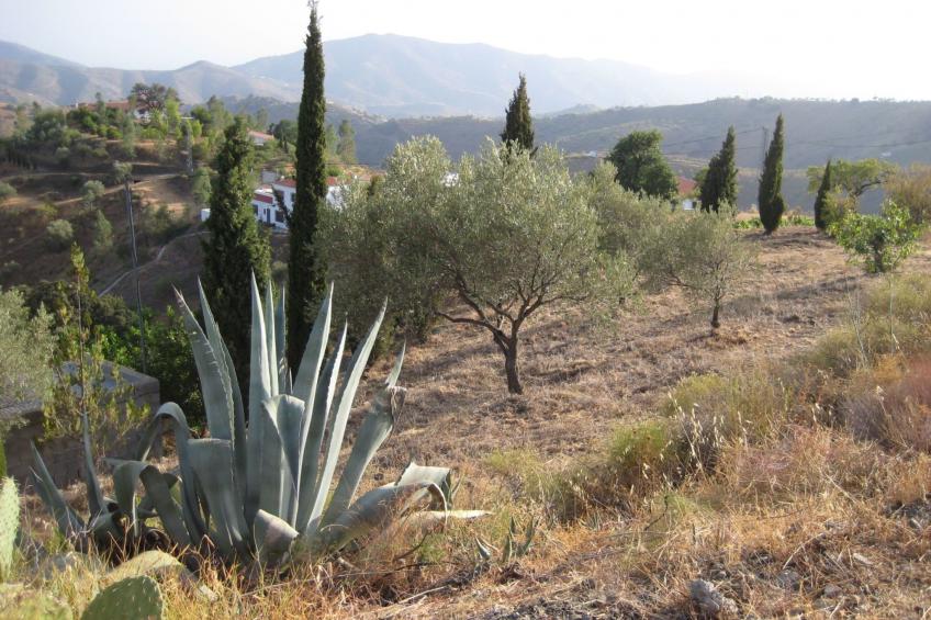 Finca 'Casa Siete Arcos' - foto 24