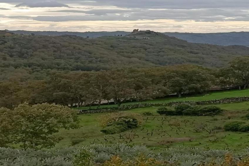 Casa de Pueblo "Rodrigo" Sierra de Gata Cáceres - foto 35