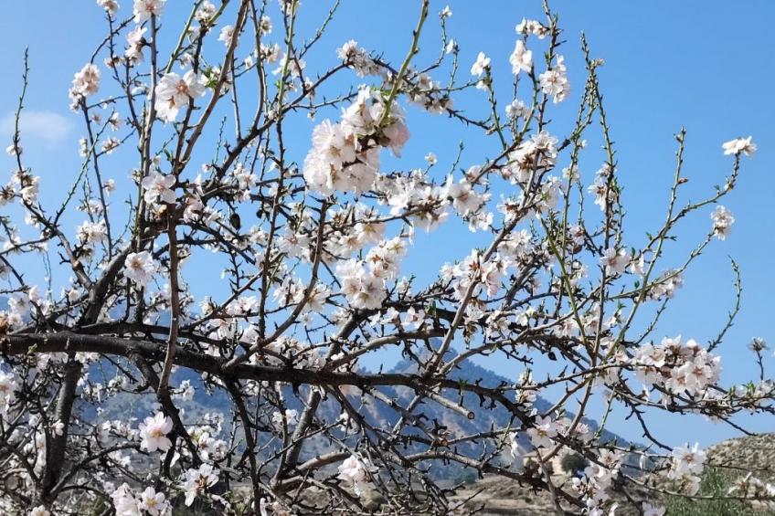 Domicilio de Vida - foto 39