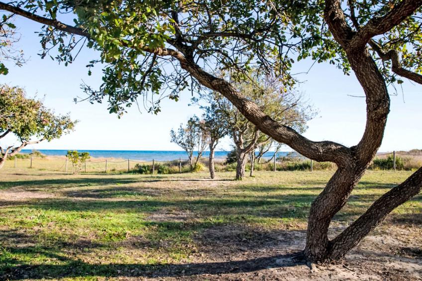 Lodge Natura 4p - foto 19