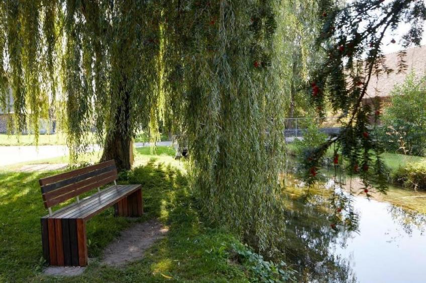 Bauernhof Elmiger - foto 22