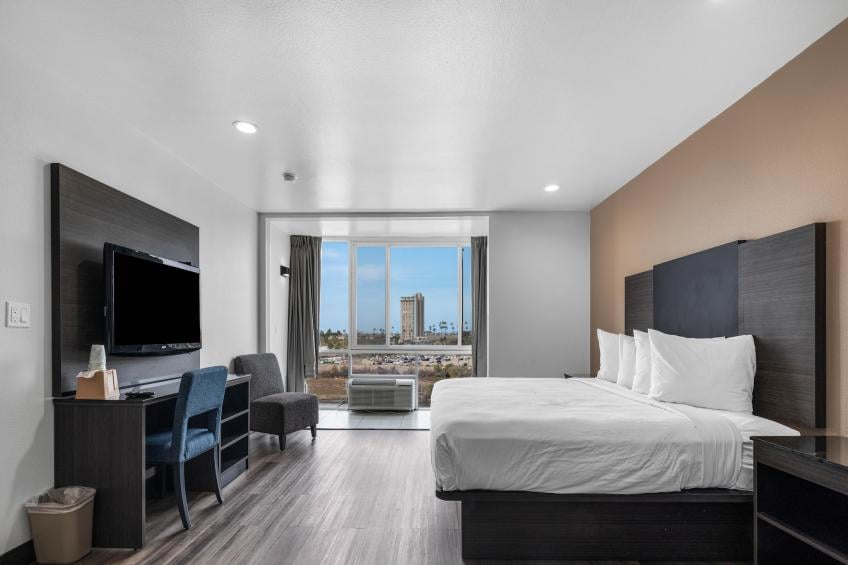 1 King Bed  Non-Smoking Micfridge View