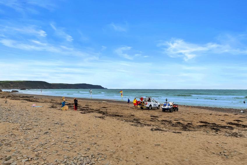 Sea Thrift at Widemouth Bay - foto 26