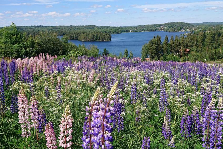 Familienfreundliches Ferienhaus mit großem Garten - foto 36