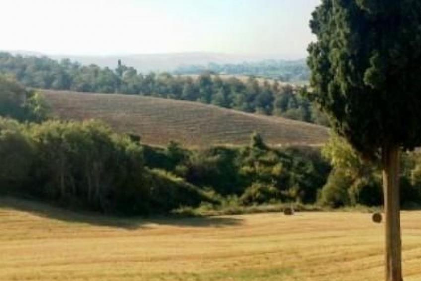 Toskana Poggio Cantarello - foto 17