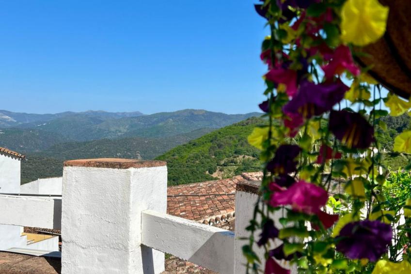 Casa la Solana - foto 4