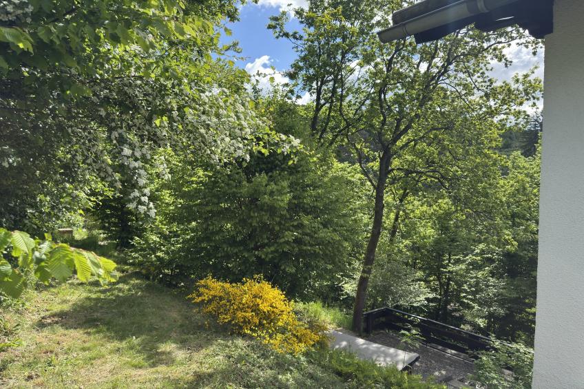 Holiday home Sackpfeifenblick, Hatzfeld - foto 35