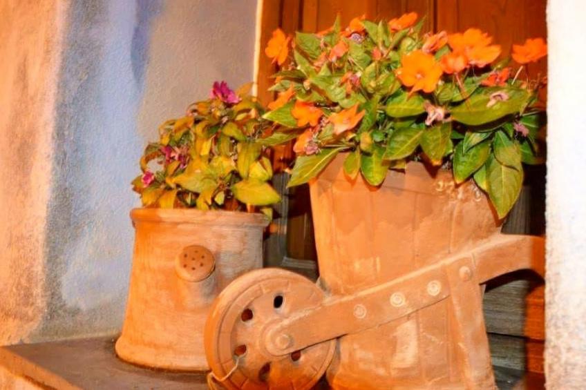 mit Kamin, Terrasse und Meerblick - foto 48