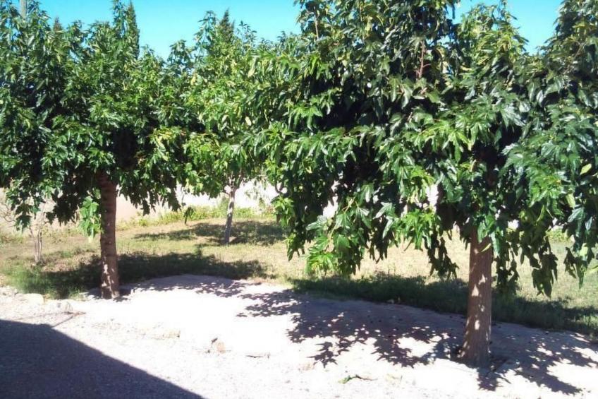 Schönes Ferienhaus mit eigenem Pool - foto 17