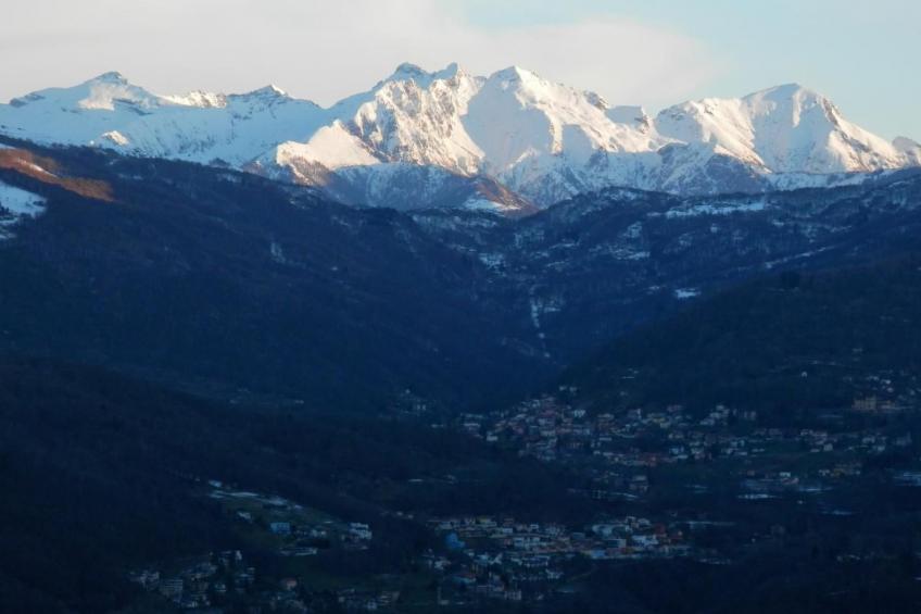 Al Bosco 71A - foto 23