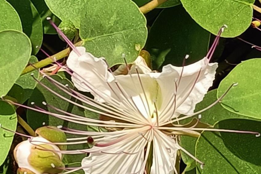 mit Wasserblick - foto 17