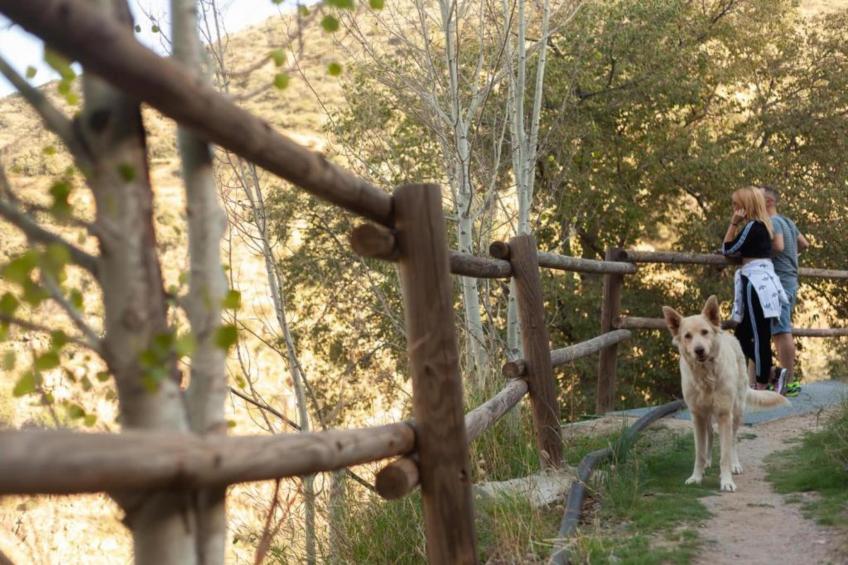 Casa la Albaida - foto 21