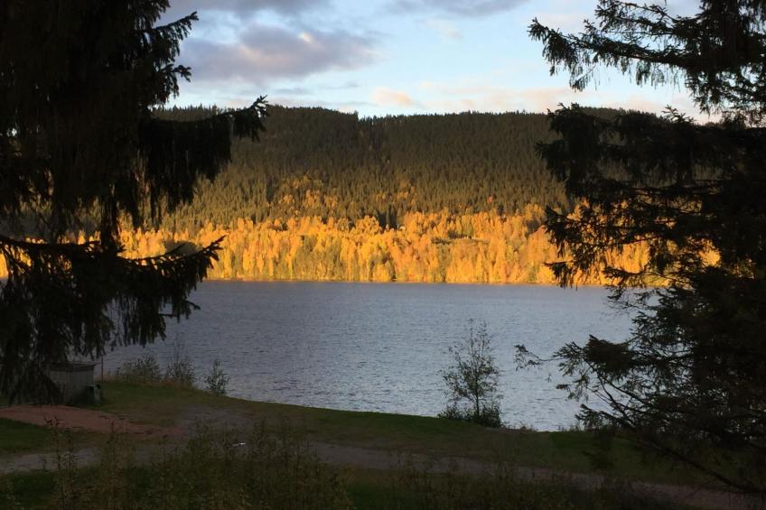 Ferientagheim Hammarstrand - foto 23