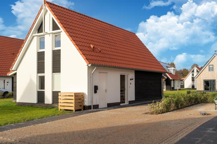 De IJsvogel