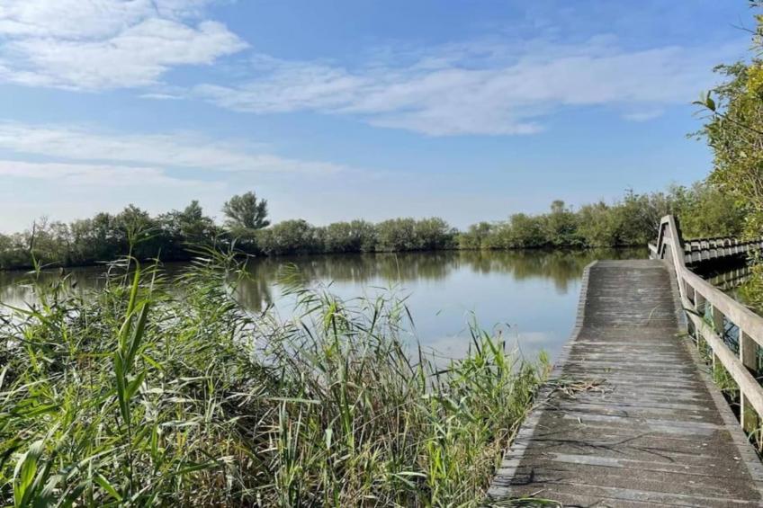 Vakantiehuis De Weide Blick - foto 28