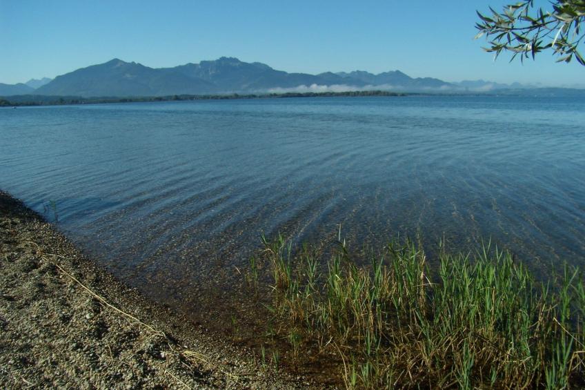 Betttis Bungalow - foto 26