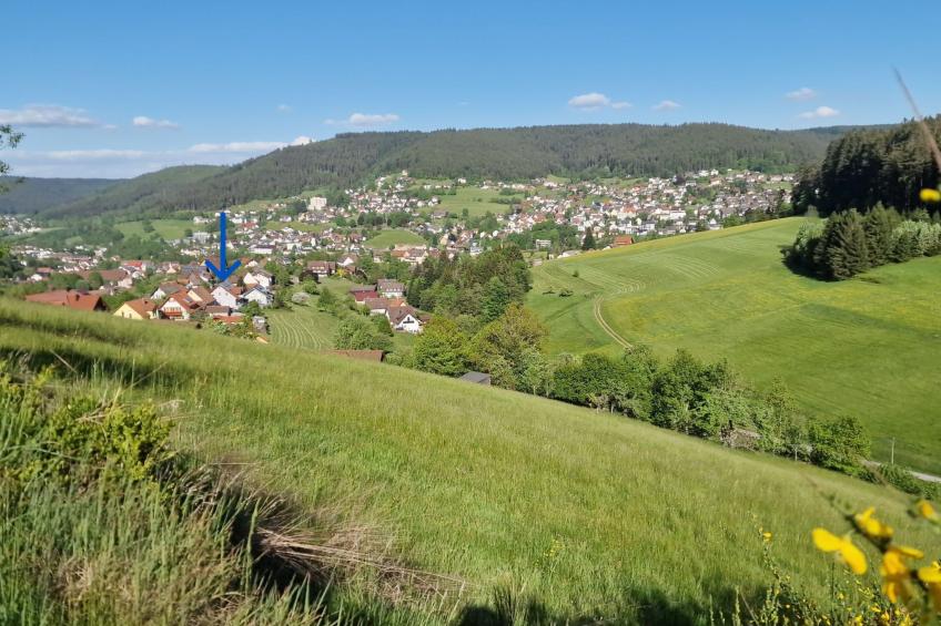 Schwarzwald Idylle