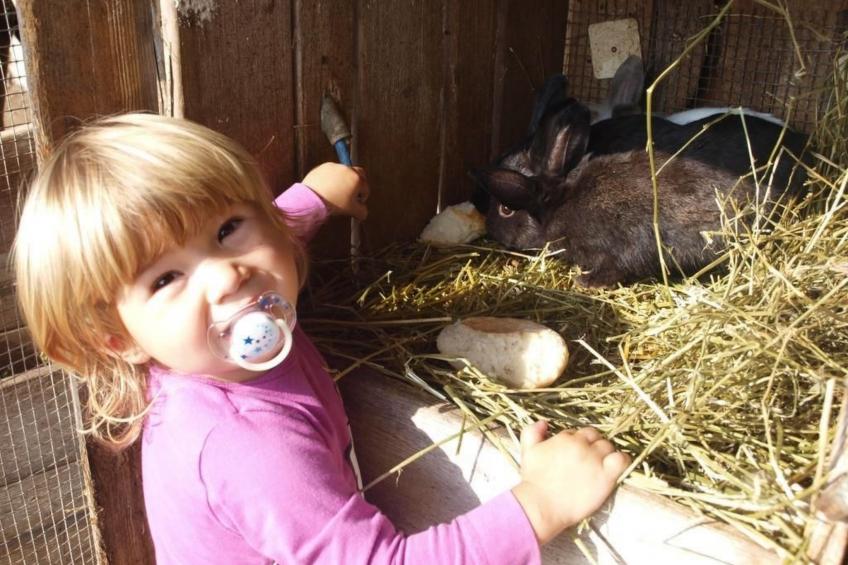 Gala+ Vernatsch - foto 14