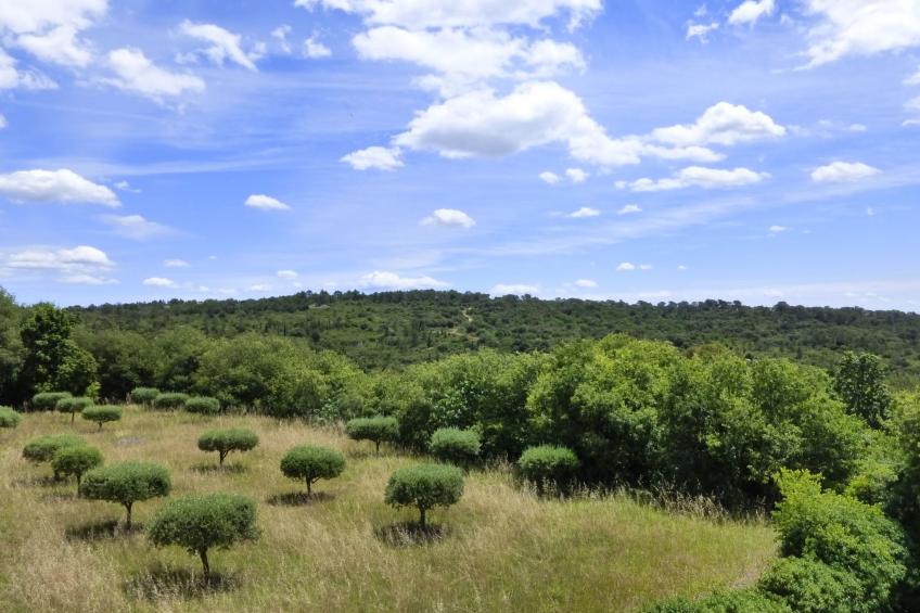 Ferienhaus - foto 22