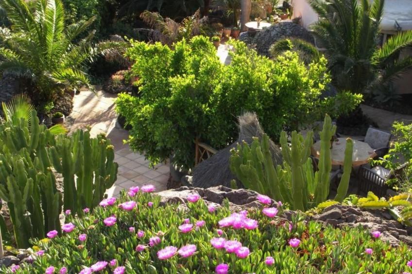 Casa de Niro - foto 11