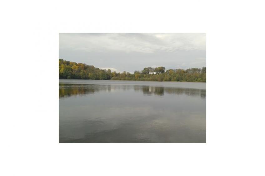 49421 - foto 20