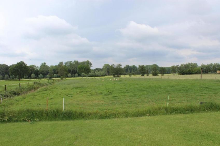 De oude stal - foto 22