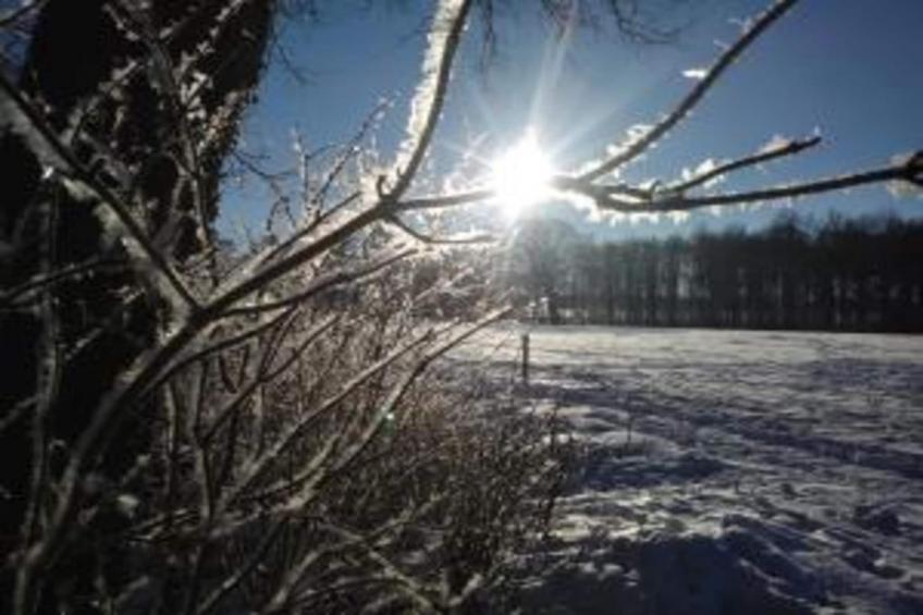 Huus in 't Hagt - foto 35