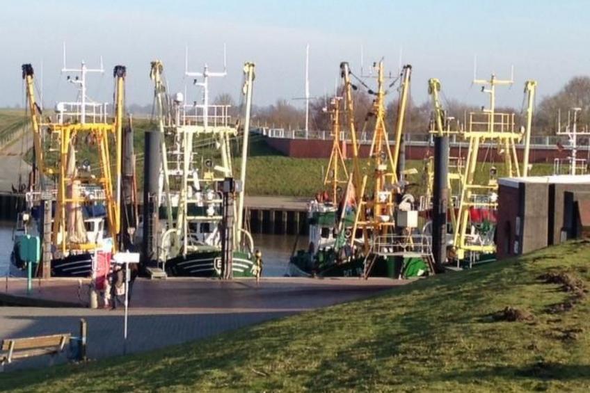 Mühlenblick - foto 23