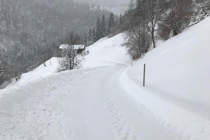mit Blick auf die Berge - foto 30