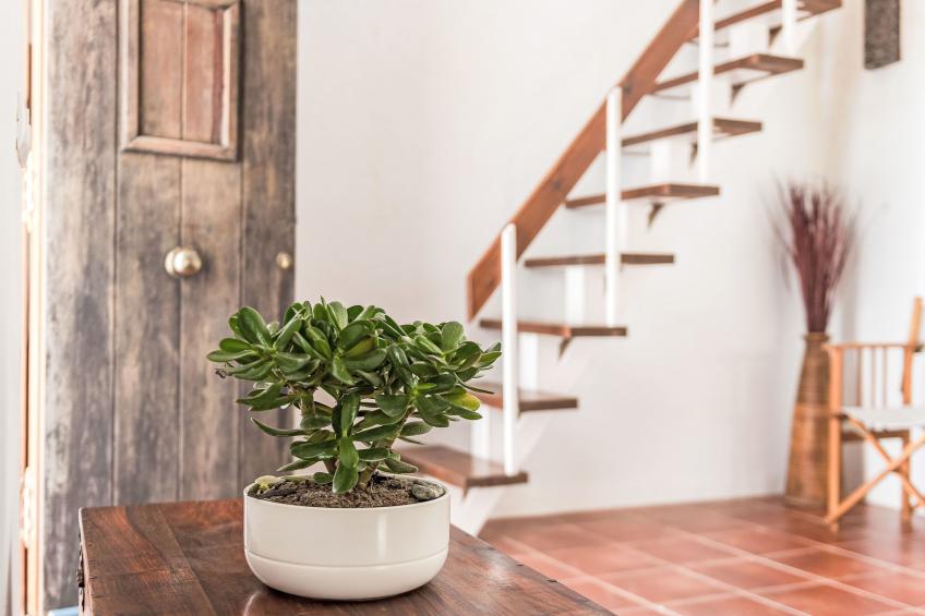 Wohnung mit großer Dachterrasse in Vejer - foto 17