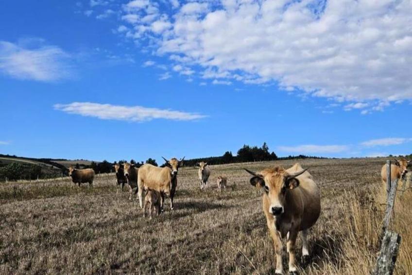 Gîte La cabane de romane - foto 19