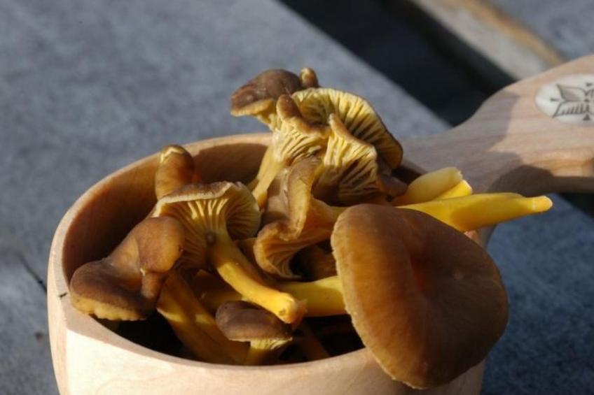 Gemütliches Blockhaus mit Kamin im Oviksfjäll - foto 18