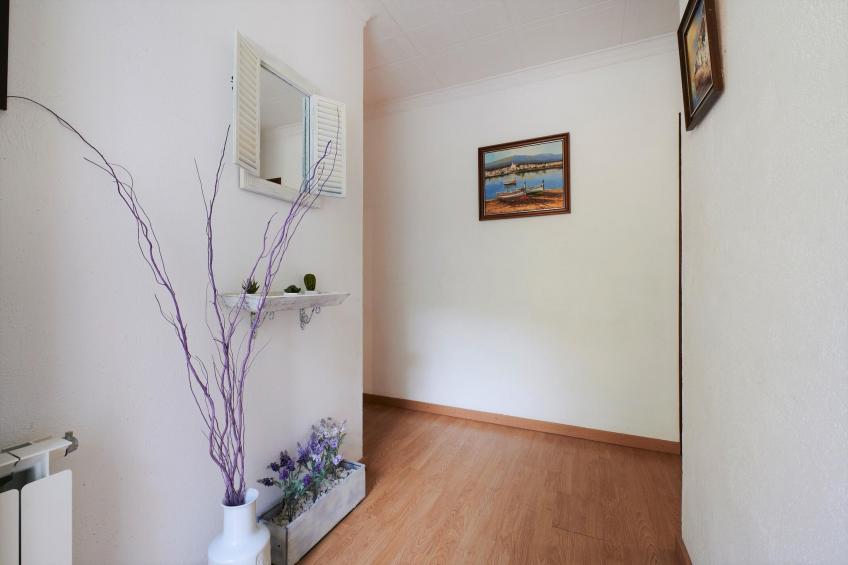 Senals - foto 10