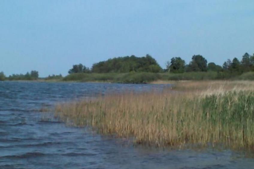 Mueritzbrise 3 mit Terrasse free WiFi - foto 6